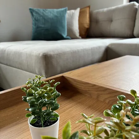 Appartement Rebennah - Modern - Freisitz - Kueche - Ideal Fuer Monteure Platten