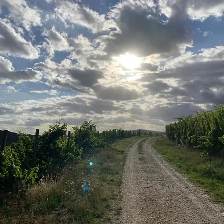 Rebennah - Modern - Freisitz - Kueche - Ideal Fuer Monteure