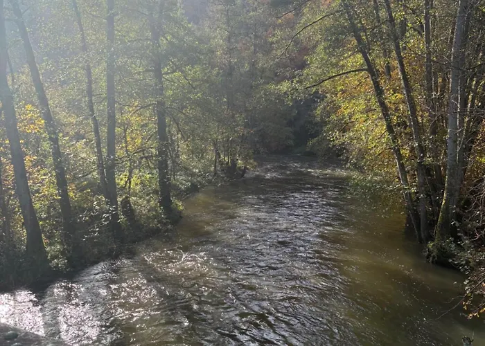 Rebennah - Modern - Freisitz - Küche - Ideal Für Monteure Platten