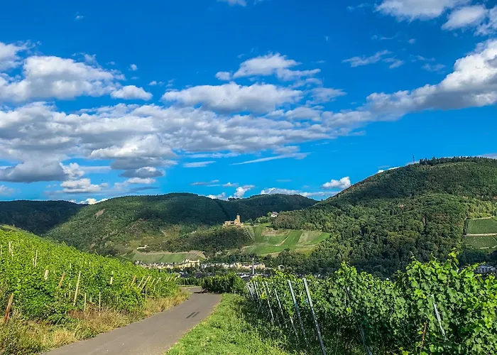 Apartment Rebennah - Modern - Freisitz - Küche - Ideal Für Monteure